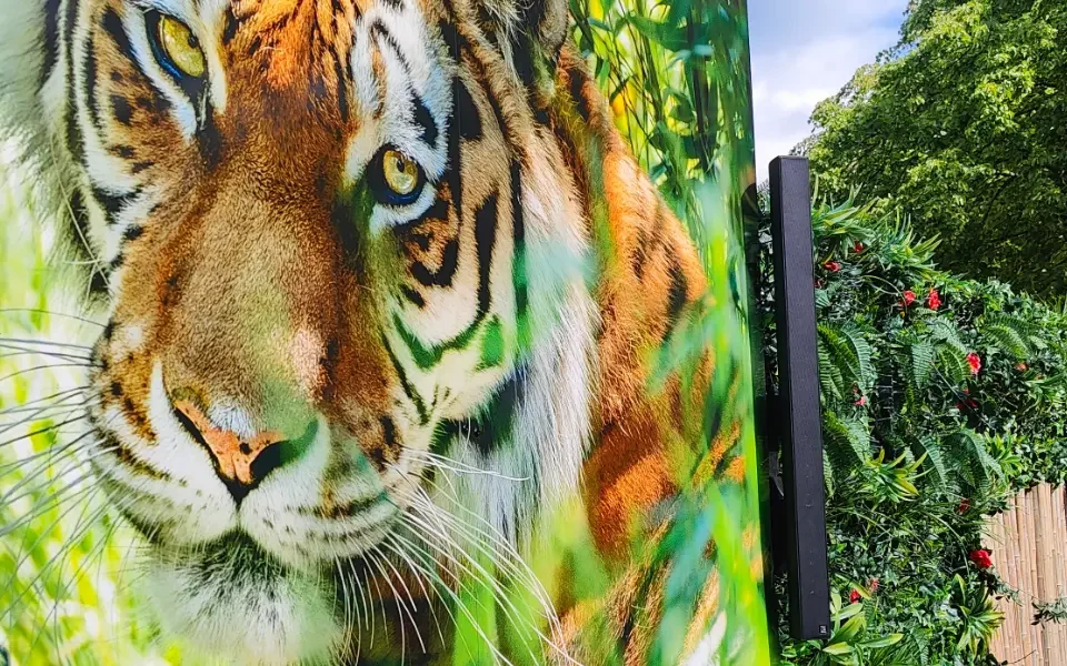 Hertfordshire Zoo, Broxbourne
